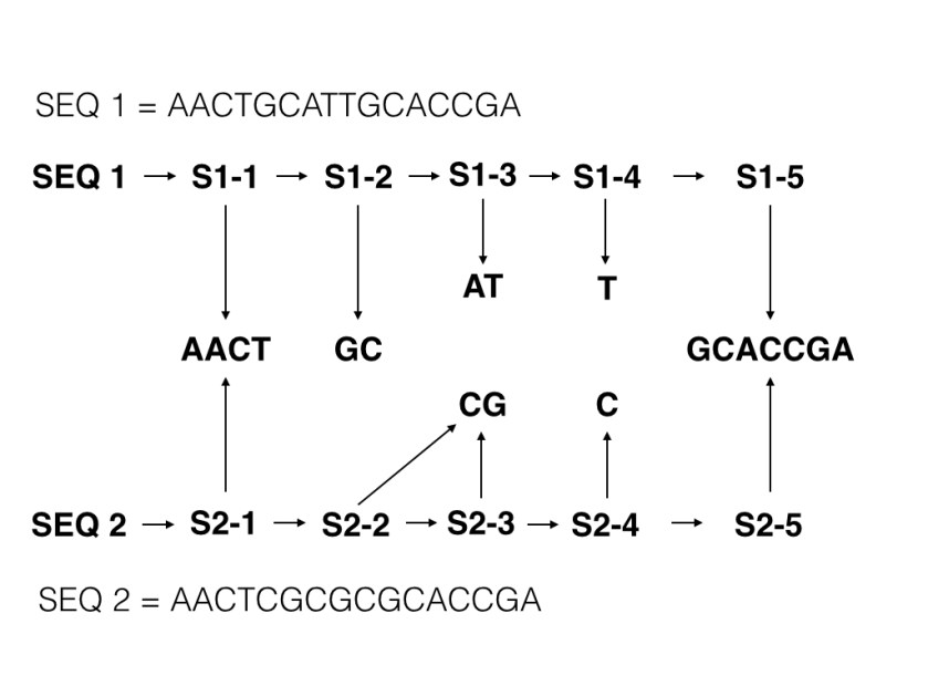 Two sequences linking to segments that are common.