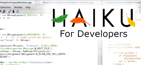 Haiku for Developers